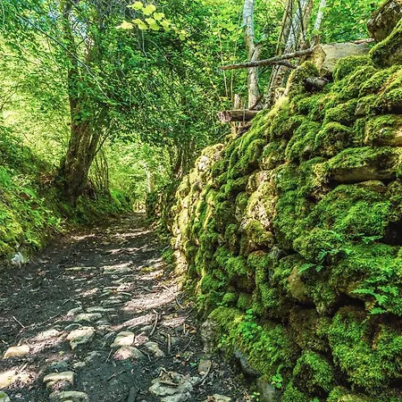 Terra Ecoturismo Casa La Cueva Chalet La Focella